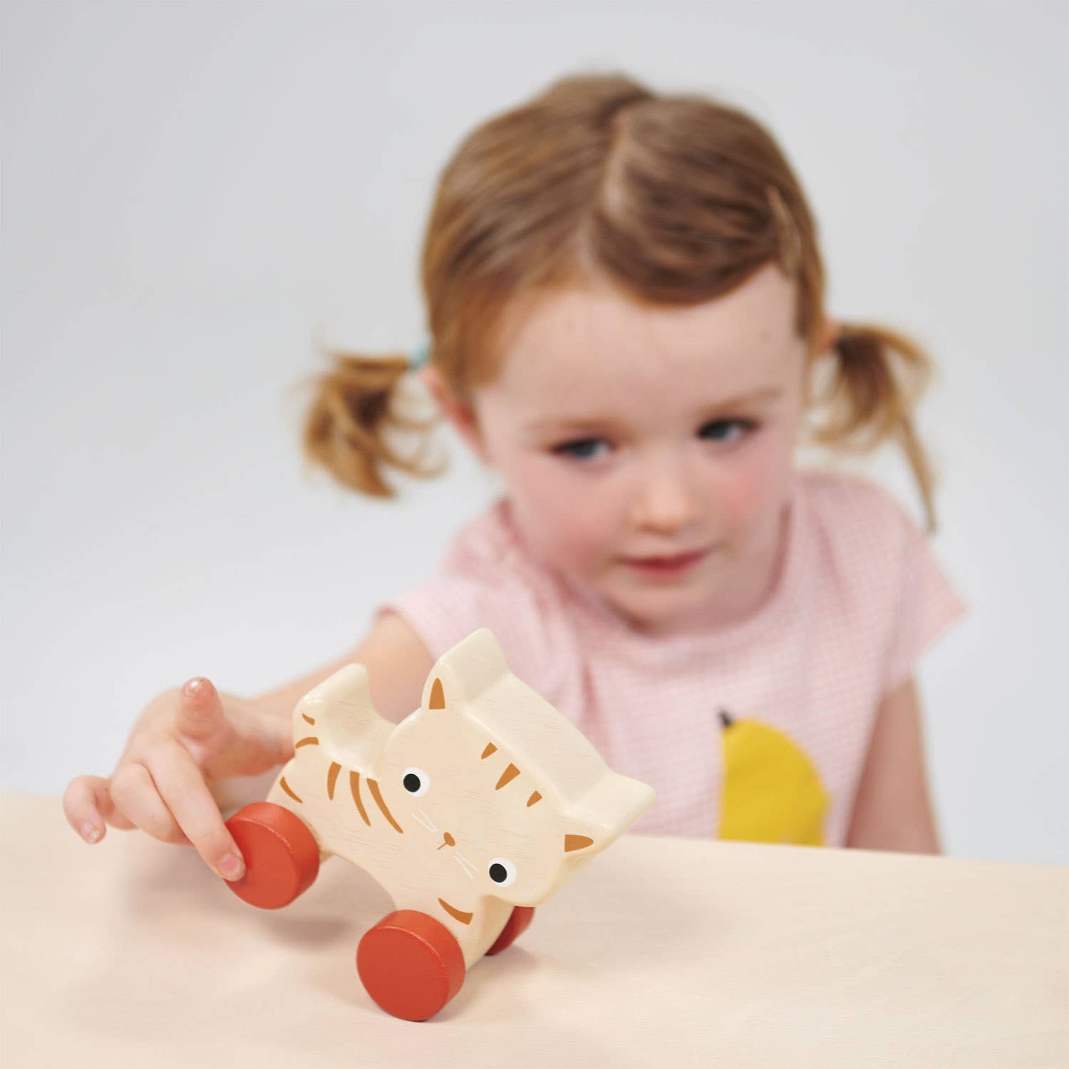 Mentari Kitten On Wheels
