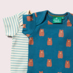 Little Green Radicals Teddy Bears Organic Baby Bodysuit Set 2 Pack